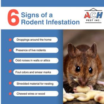 Image for ACH Pest, Inc. Waco with ID of: 6662643