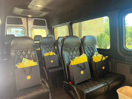 Image for Star Limo with ID of: 6663547