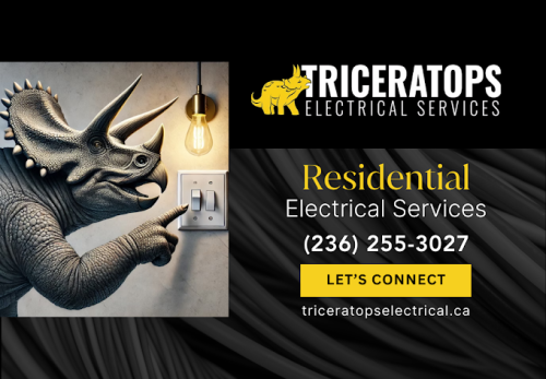 Image for Triceratops Electrical Services with ID of: 6664615
