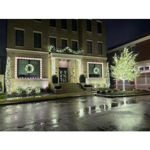 Image for Christmas Lights 4 U, LLC with ID of: 6666827