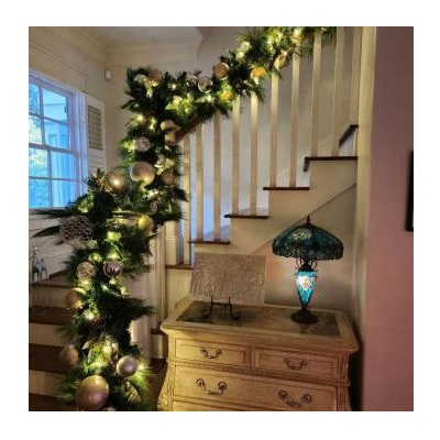 Image for Christmas Lights 4 U, LLC with ID of: 6666829