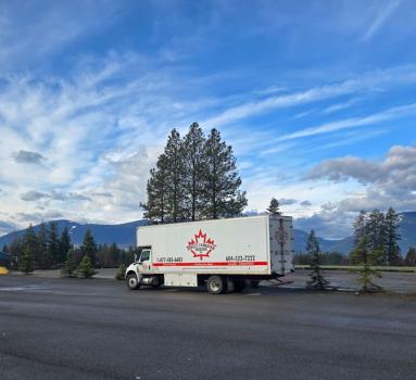 Image for Purely Canadian Movers Inc with ID of: 6666920