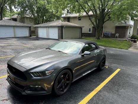 Image for ShipYourCarNow with ID of: 6668027