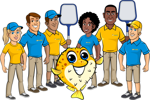Image for Puddle Pool Services with ID of: 6669368