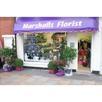 Image for Marshall's Florist with ID of: 6669448
