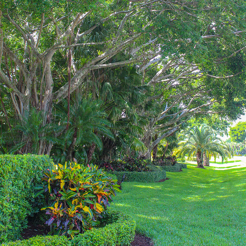 Image for Coastal Gardens Professionals with ID of: 6669582