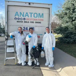 Image for Anatom Restoration - Denver with ID of: 6671023
