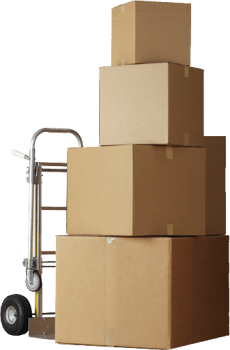Image for Guardian Self Storage Caloundra with ID of: 6671194