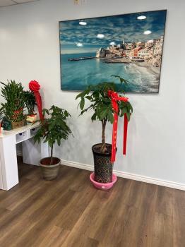 Image for Twins Nail spa with ID of: 6671993