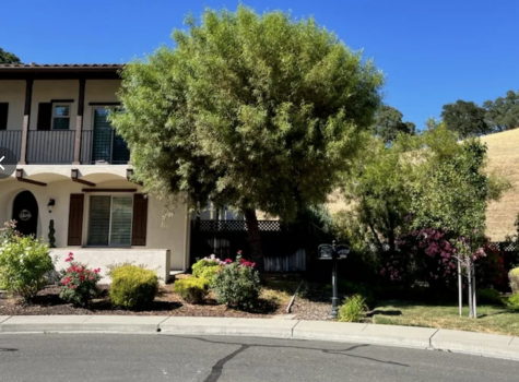 Image for Affordable Arborist with ID of: 6674223