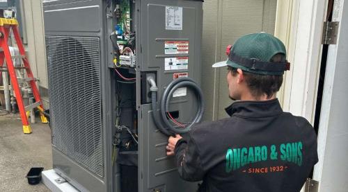 Image for Ongaro & Sons with ID of: 6674256