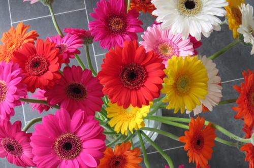 Image for Bloomerang Florists with ID of: 6674572