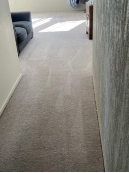 Image for Mint Carpet Cleaning with ID of: 6677332