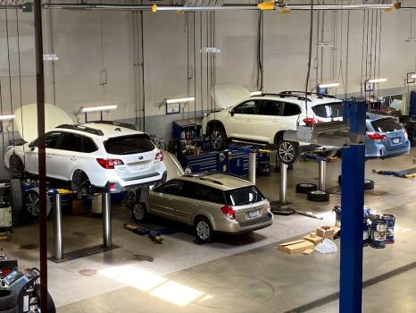 Image for Tom Wood Subaru with ID of: 6677620