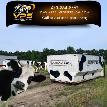 Image for VPS Dumpster Rental with ID of: 6677955