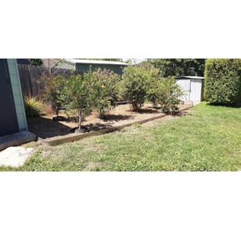 Image for ShapeScaper with ID of: 6684720