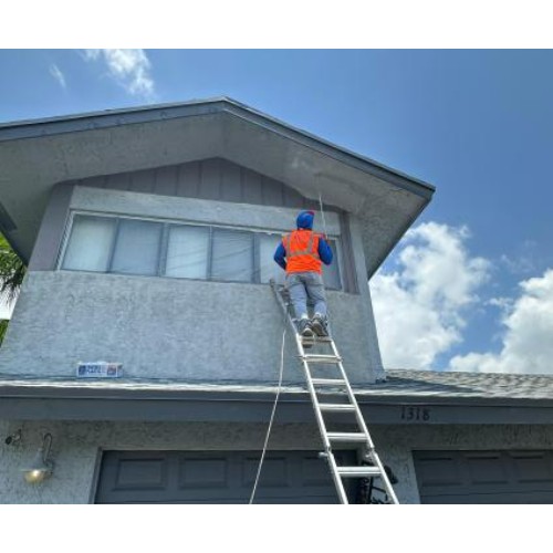 Image for Paint King with ID of: 6686104