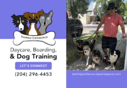 Image for Taming Cerberus with ID of: 6686547
