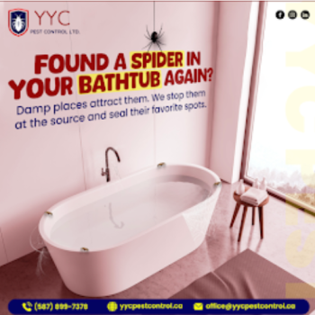 Image for YYC Pest Control LTD. with ID of: 6687948