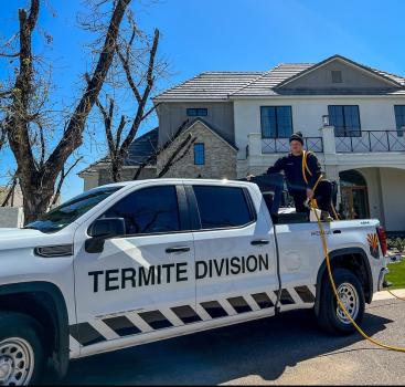 Image for The Termite Division with ID of: 6688599