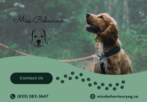 Image for Miss Behaviour with ID of: 6689500