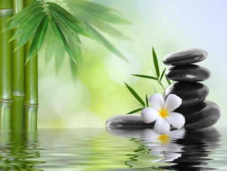 Image for Acupressure SPA with ID of: 6689592