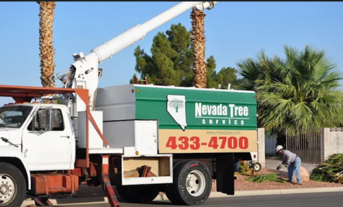 Image for Nevada Tree Service with ID of: 6689764