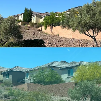 Image for Nevada Tree Service with ID of: 6689765