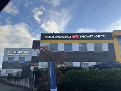 Image for Boundary Bay Veterinary Specialty Hospital with ID of: 6690048