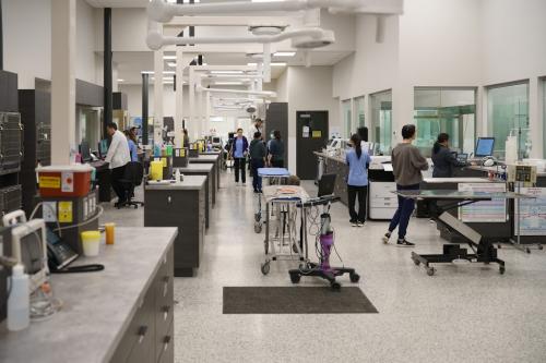 Image for Boundary Bay Veterinary Specialty Hospital with ID of: 6690049