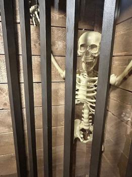 Image for Escapology Escape Rooms Glendale with ID of: 6691145