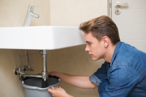 Image for Mold Solutions NW with ID of: 6691681