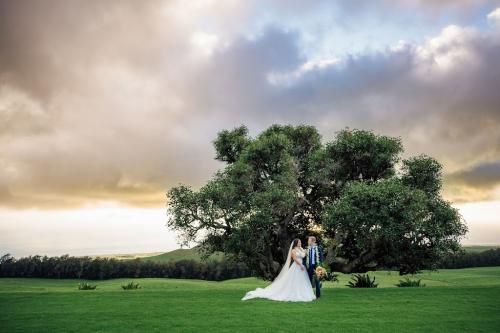 Image for Elope Big Island with ID of: 6693033
