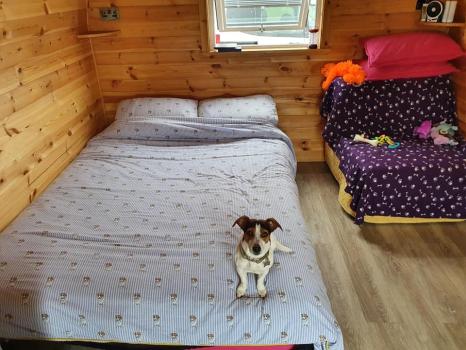 Image for Camping at Cardewlees with ID of: 6694539