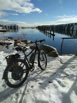 Image for OHM Electric Bikes with ID of: 6695194