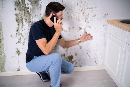 Image for Discount Mold Removal Inspection and Testing with ID of: 6696255