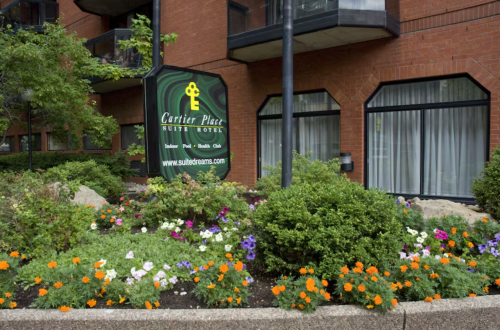 Image for Cartier Place Suite Hotel with ID of: 6696926
