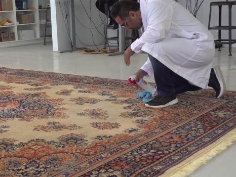 Image for Love Your Rug Cleaning Brampton with ID of: 6697450