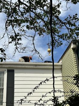 Image for Air Therm LLC with ID of: 6697776
