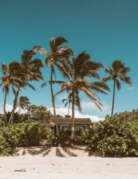 Image for Oahu Home Buyers with ID of: 6698249