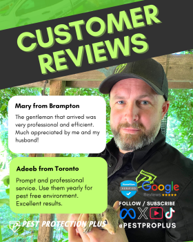 Image for Pest Protection Plus Inc. with ID of: 6701072