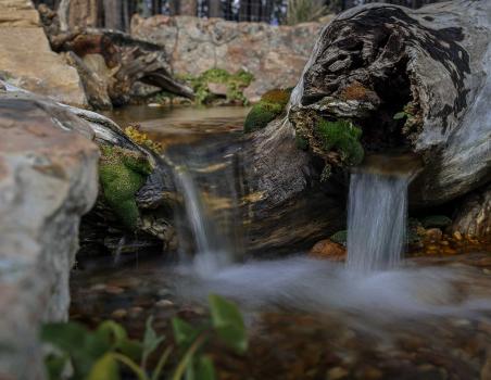 Image for Colorado Pond Pros with ID of: 6702125