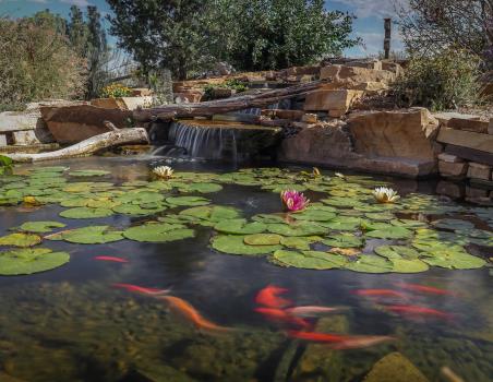 Image for Colorado Pond Pros with ID of: 6702126