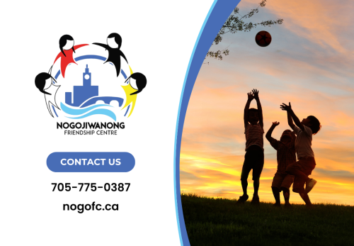 Image for Nogojiwanong Friendship Centre with ID of: 6702765