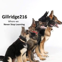 Image for Gillridge216 with ID of: 6702827