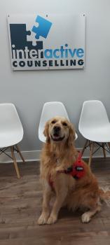 Image for Interactive Counselling with ID of: 6702918