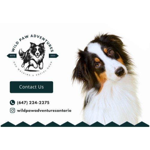 Image for Wild Paw Adventures with ID of: 6704485