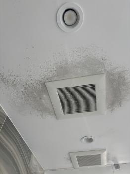 Image for Water Damage Restoration Service with ID of: 6704695