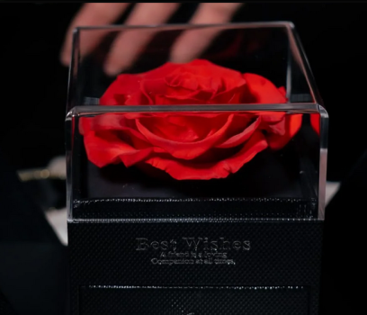 Image for Roses for Goddess with ID of: 6704925