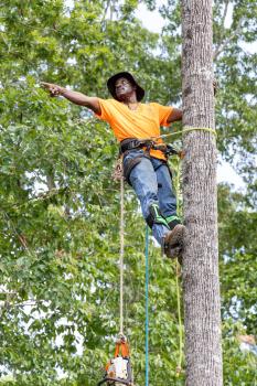 Image for Pro Service Tree Service LLC with ID of: 6706301